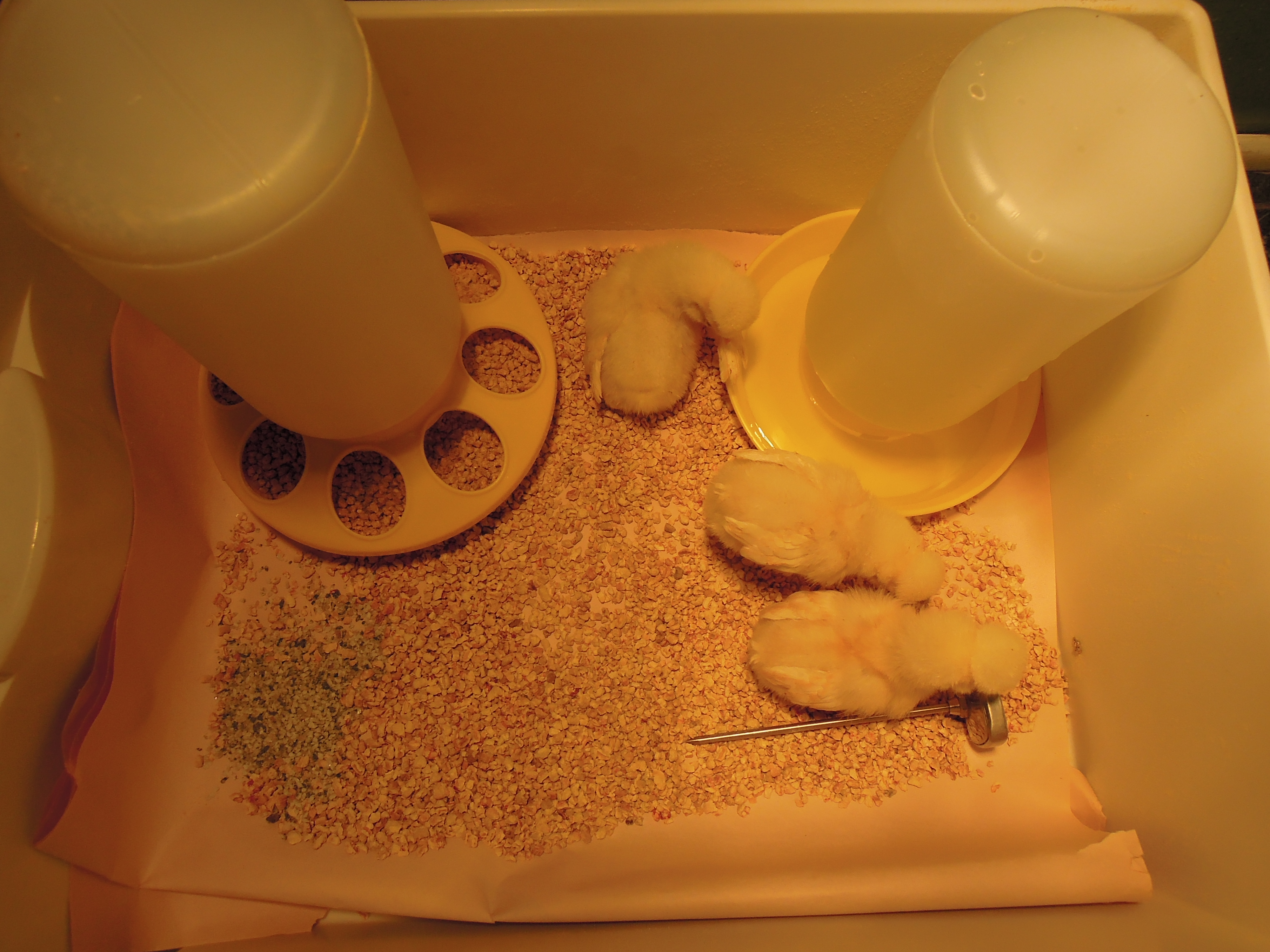 Day 1, welcome home!