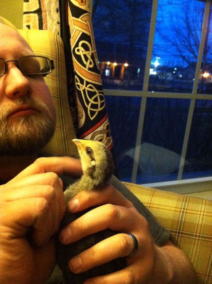 Day 21, Jay with Victoria, his Dorking, whose name he just shared with us that evening