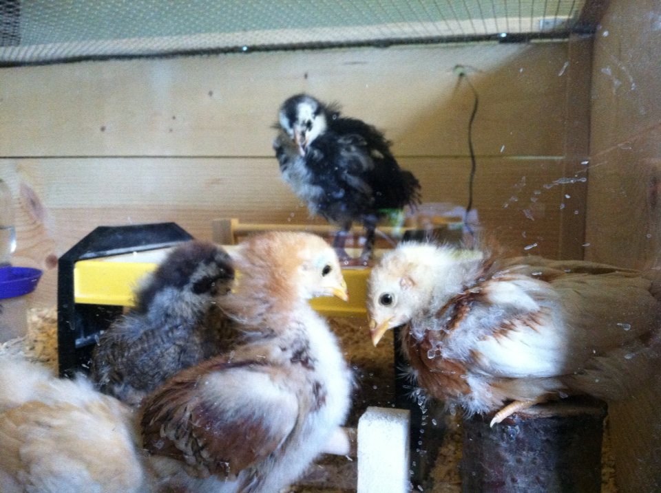 Day 24, confrontation?
