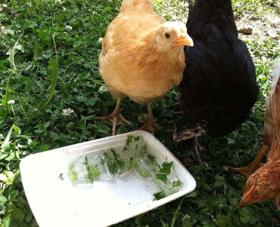 Day 58, slurping the ice water