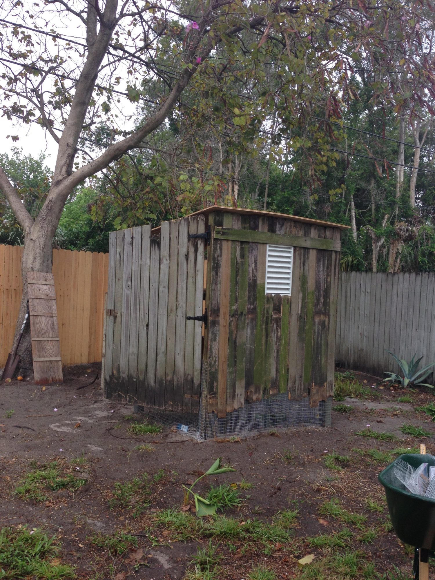 Day 6 got the door/gate hung, for easy access and cleaning