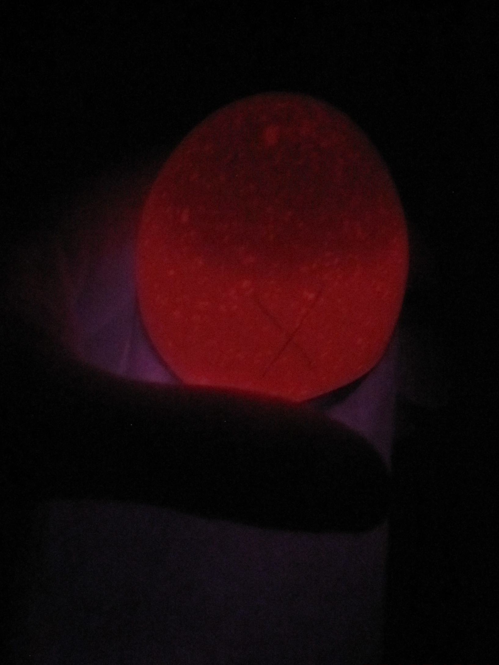 Day 9 Candling - Brown egg