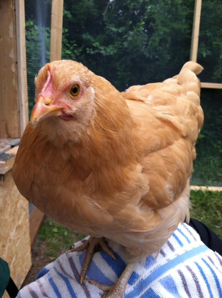 Day 91, Baby on my lap