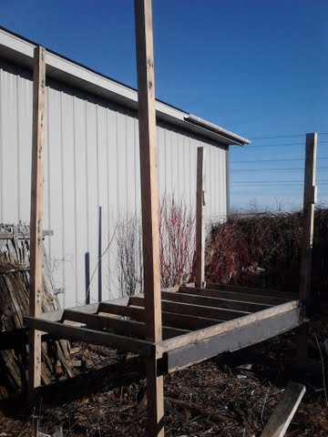 day one start of new coop build base is from an ice shanty. corner post are from pallets, they will be cut down to 4ft.