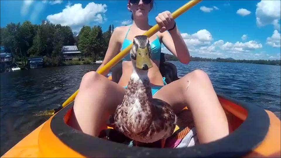 Day out on the lake