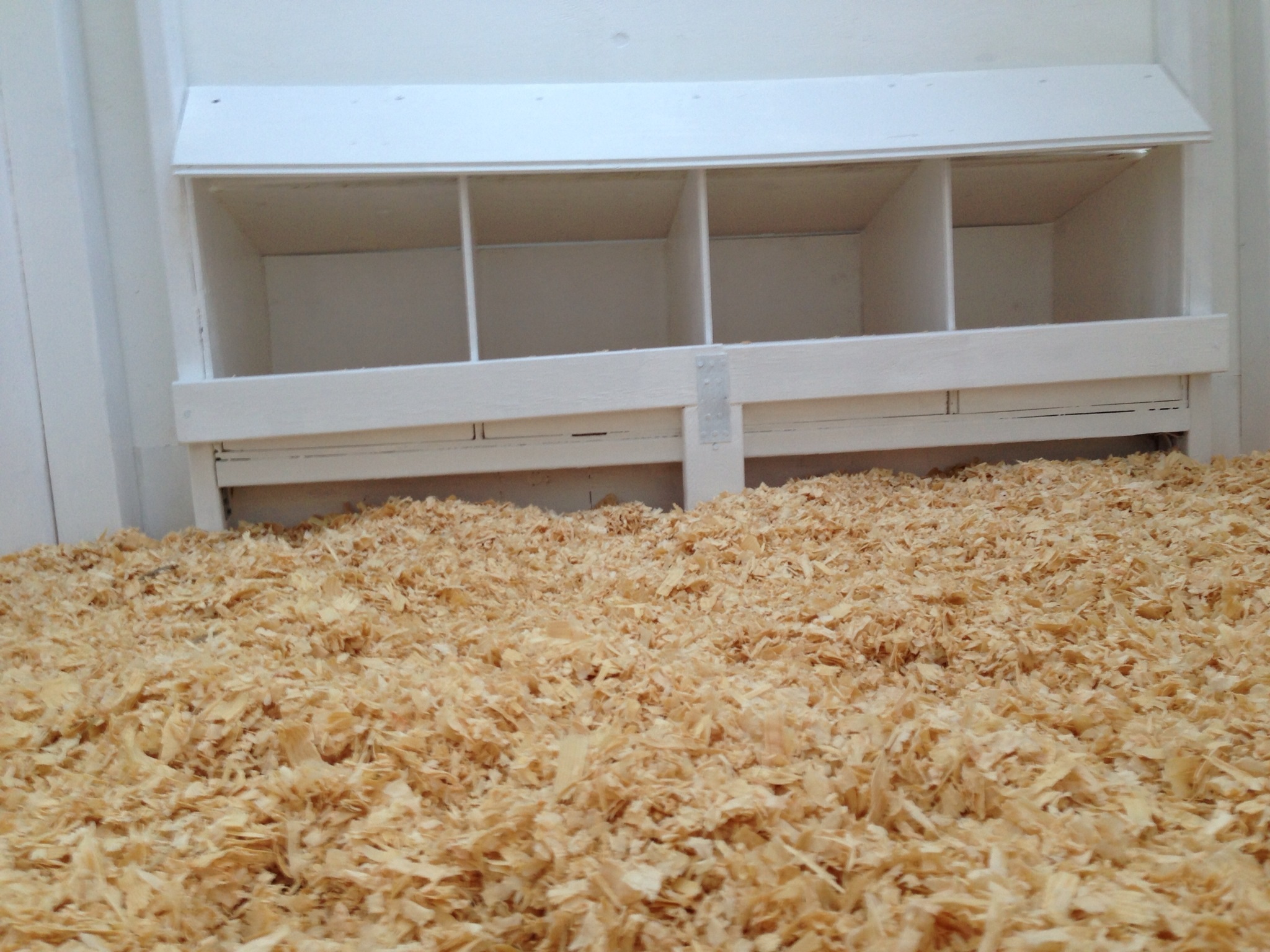 Deep litter bedding using pine shavings.