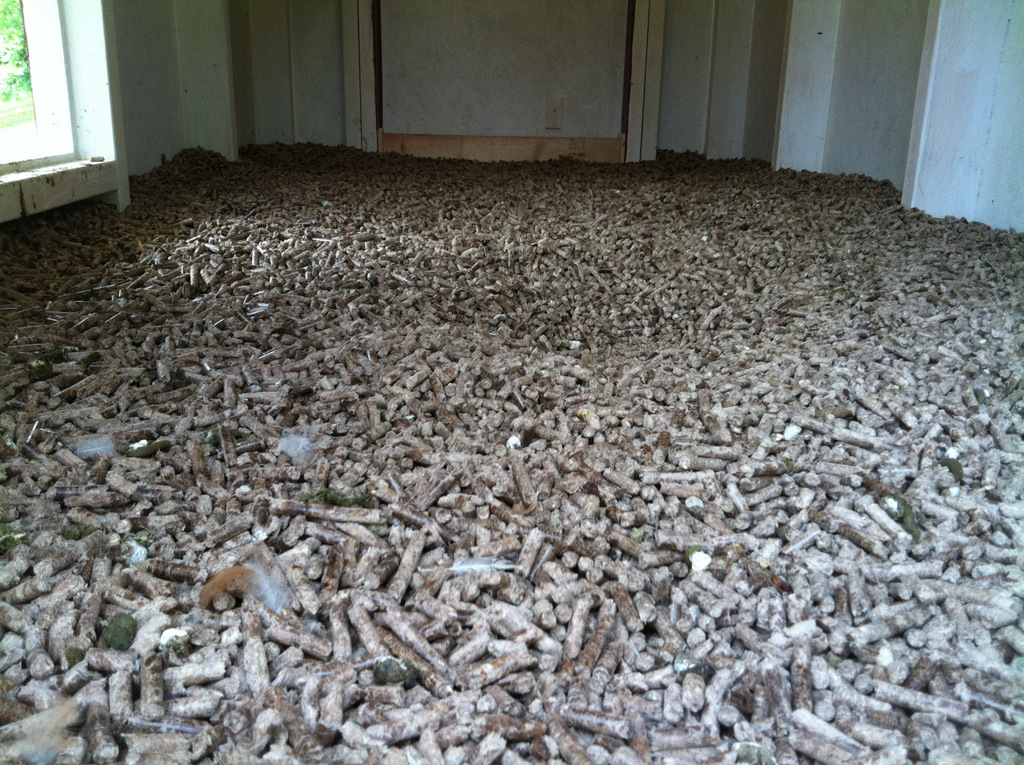 Deep litter method with wood pellets in a 4' x 8' coop.  These are about 4 inches deep or so, and have been in use with 10 chickens for about a month.  There is NO chicken smell that I can perceive, even though you can see that there is plenty of dung laying around.  It just smells like wood.  I rake it with a steel rake every 2 or 3 days to keep it mixed up.  Just to the right of the center of the picture you may be able to see an indentation.  The chickens will dig holes in it and take dust baths pretty much every day.  I'm very happy with how this is working.