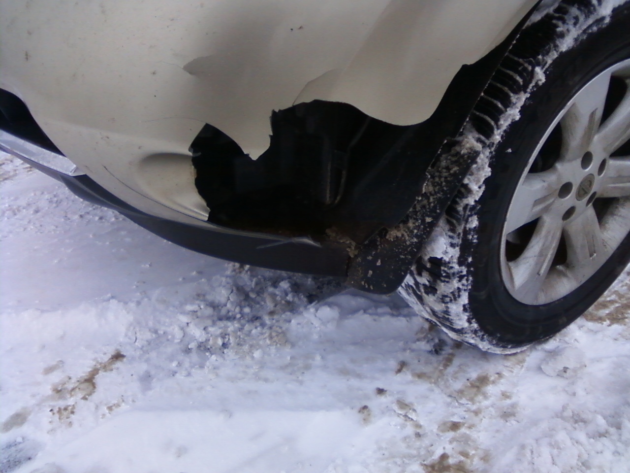deer hit car splat