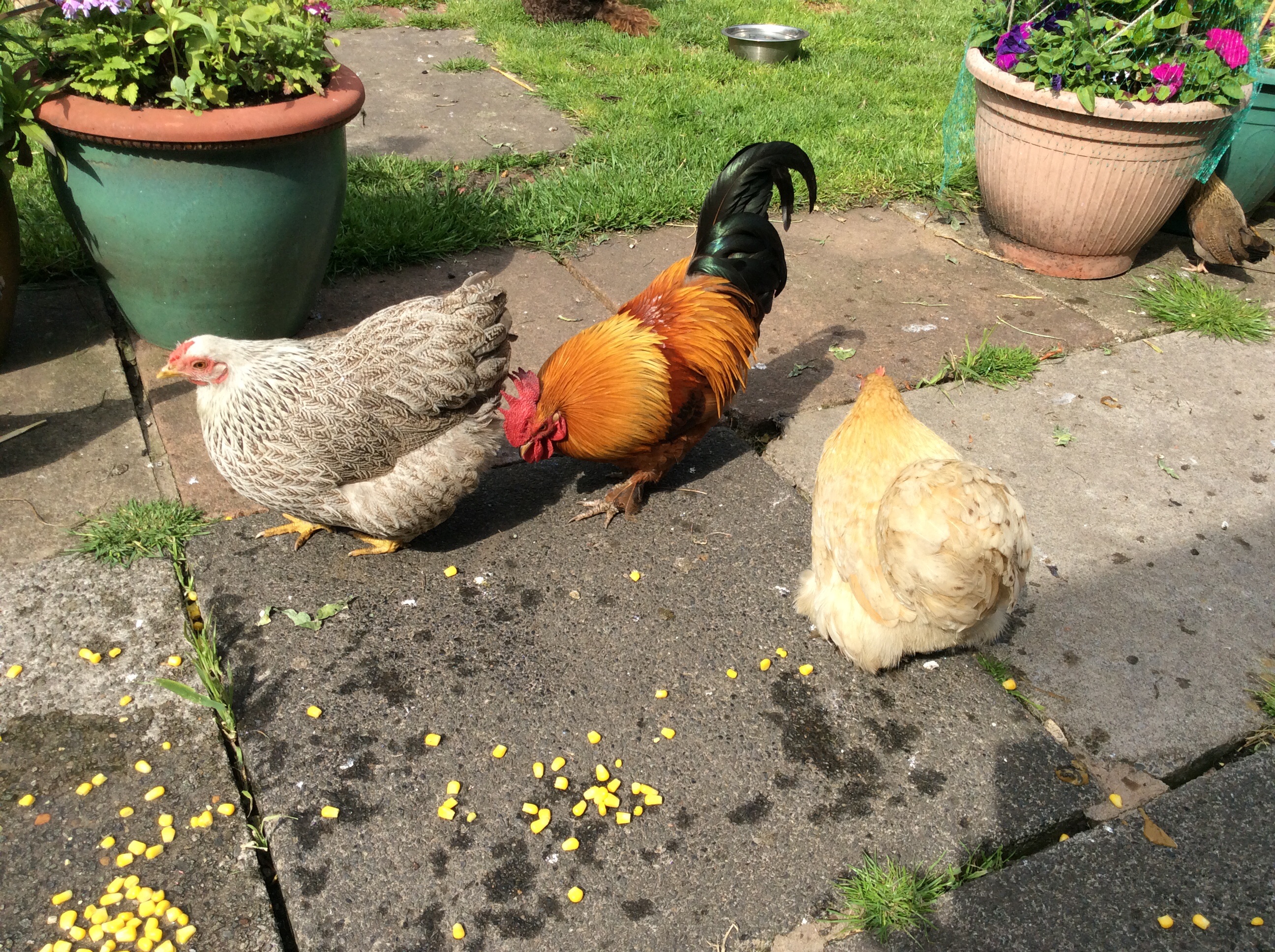 delilah, Richard and Jane