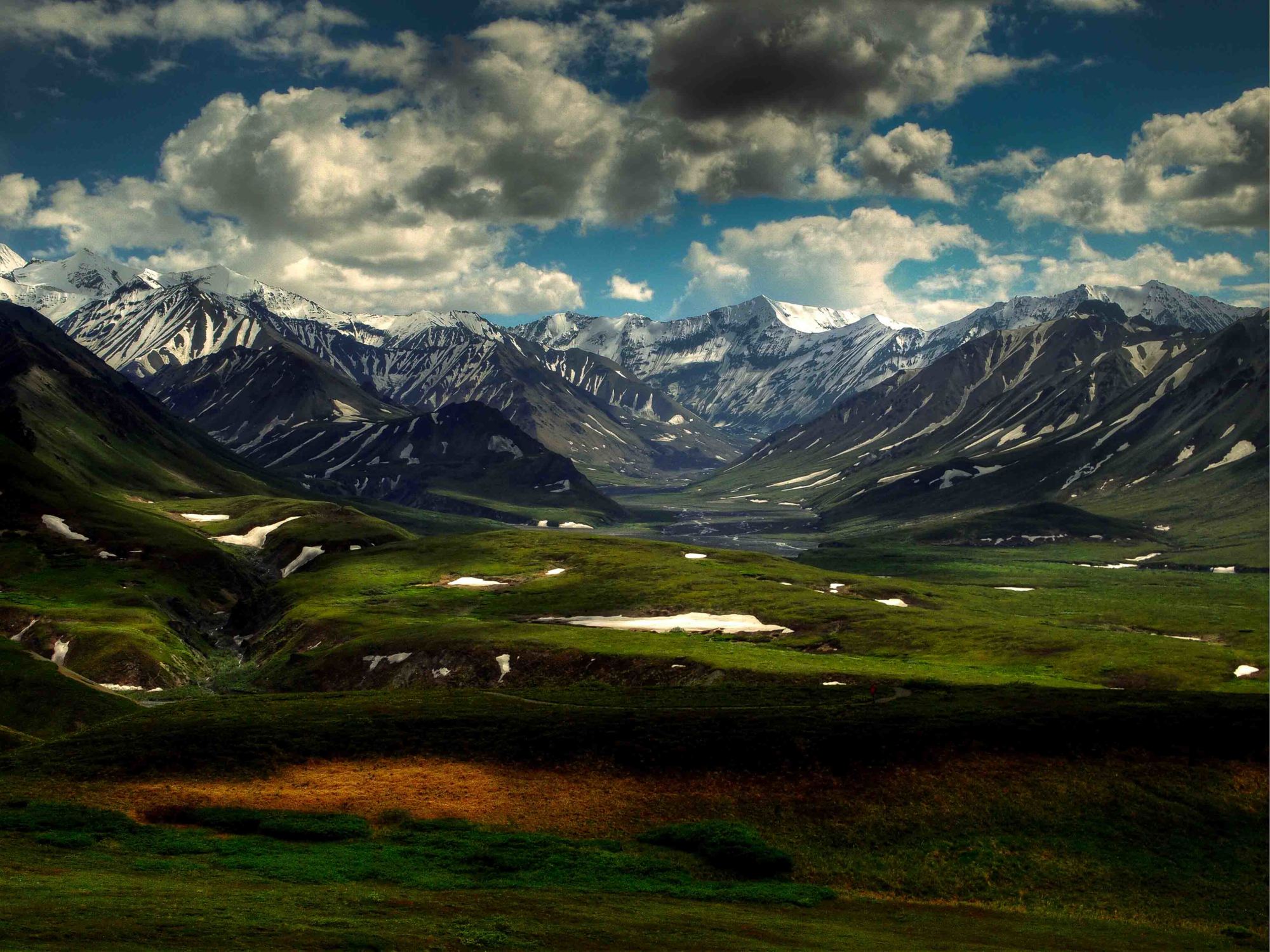 Denali National Park 2012