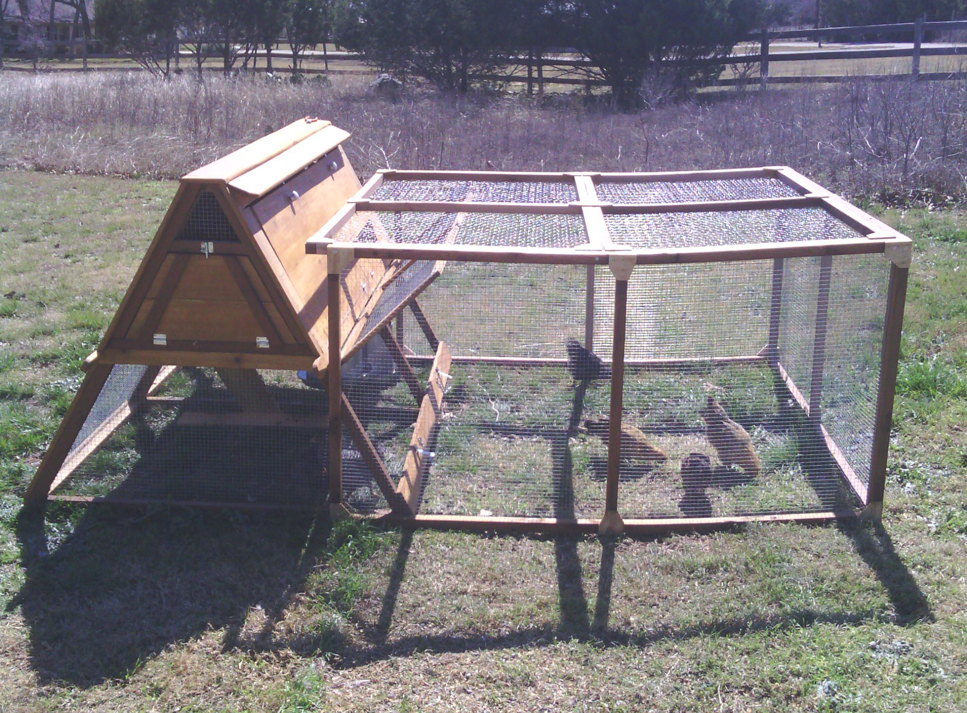 Detachable run - easily portable.  Allows for a total of 60 sq feet of space for the chicks to graze.