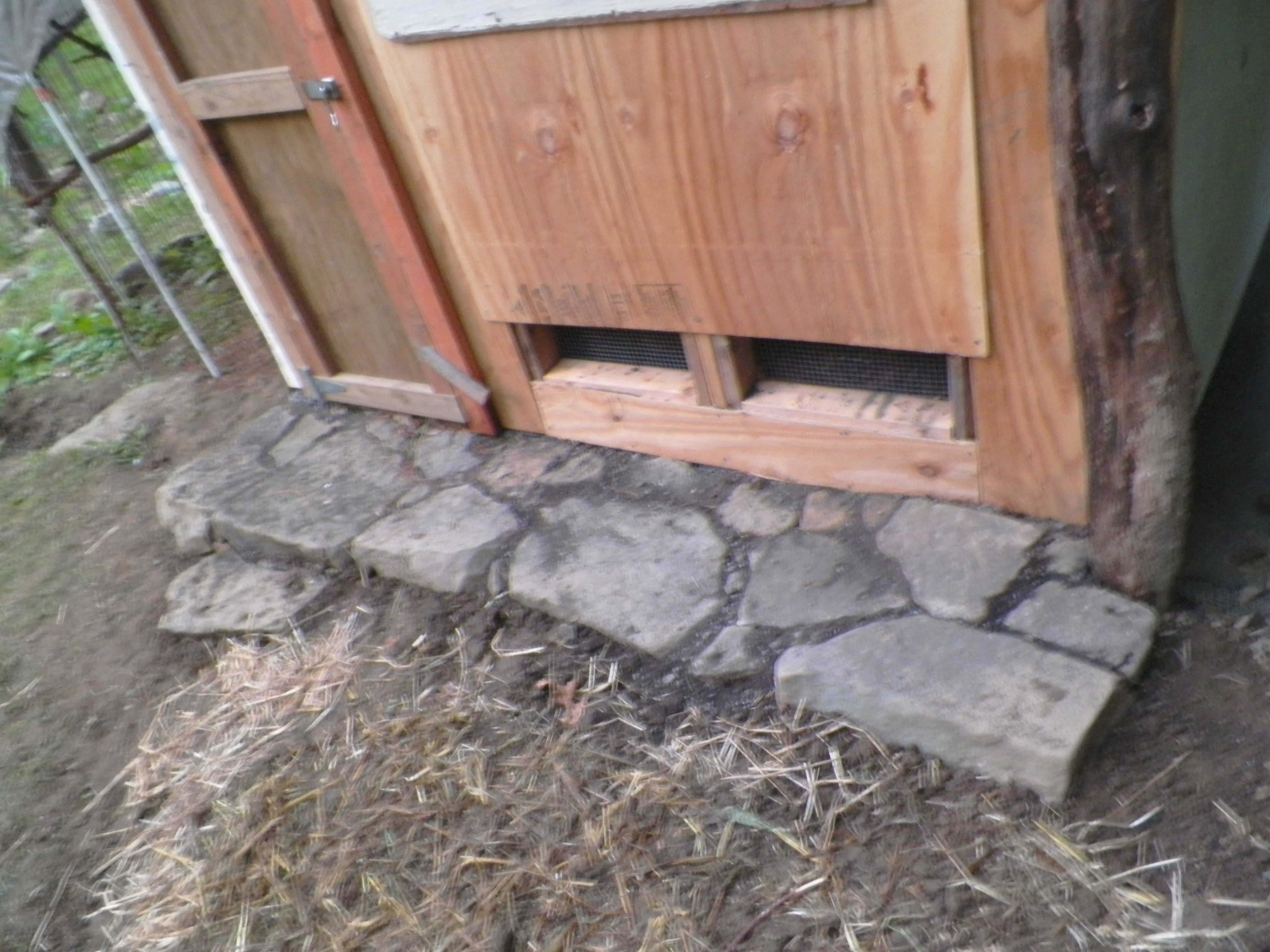 Detail of stone step. That corner stone is natural. One thing we have in abundance on Flora Vale is stones, so I searched the property for just the right ones. Will do a simpler line around the other three sides.
