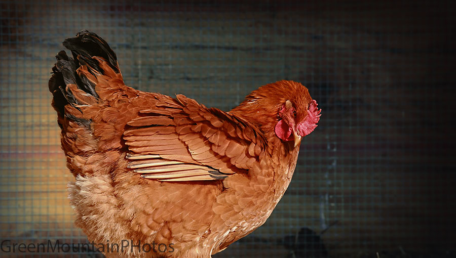 Determination... What is she thinking?