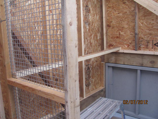 DH working on inside of coop now, this is a low perch.