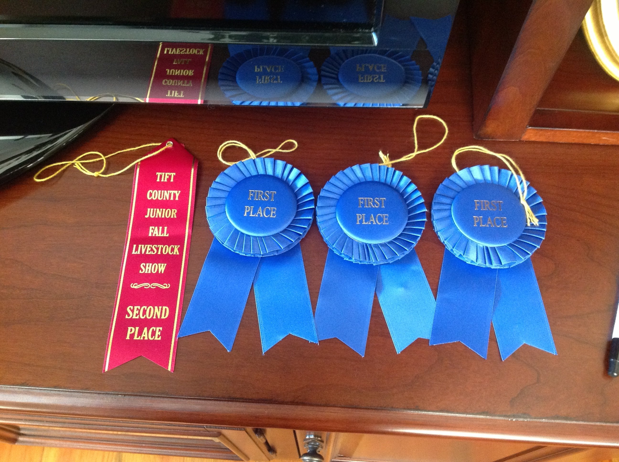 Did great at the livestock show.