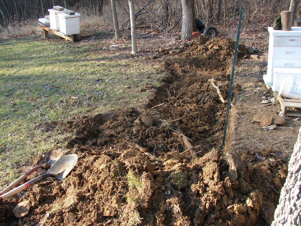 Digging the foundation. Lot's of roots to remove.