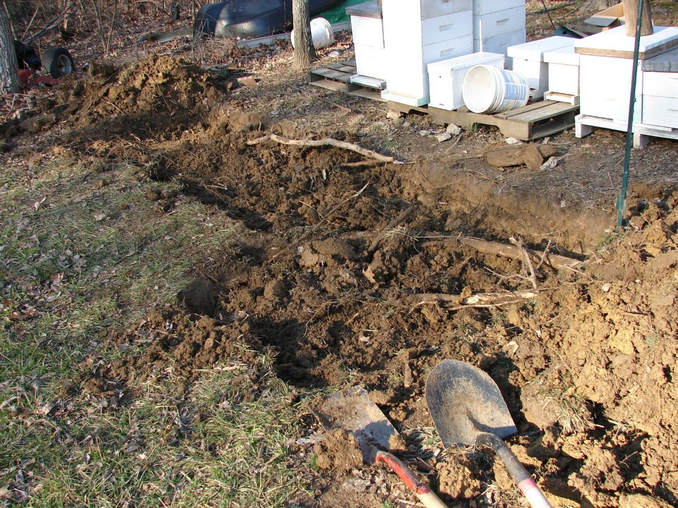Digging the foundation. Lot's of roots to remove.