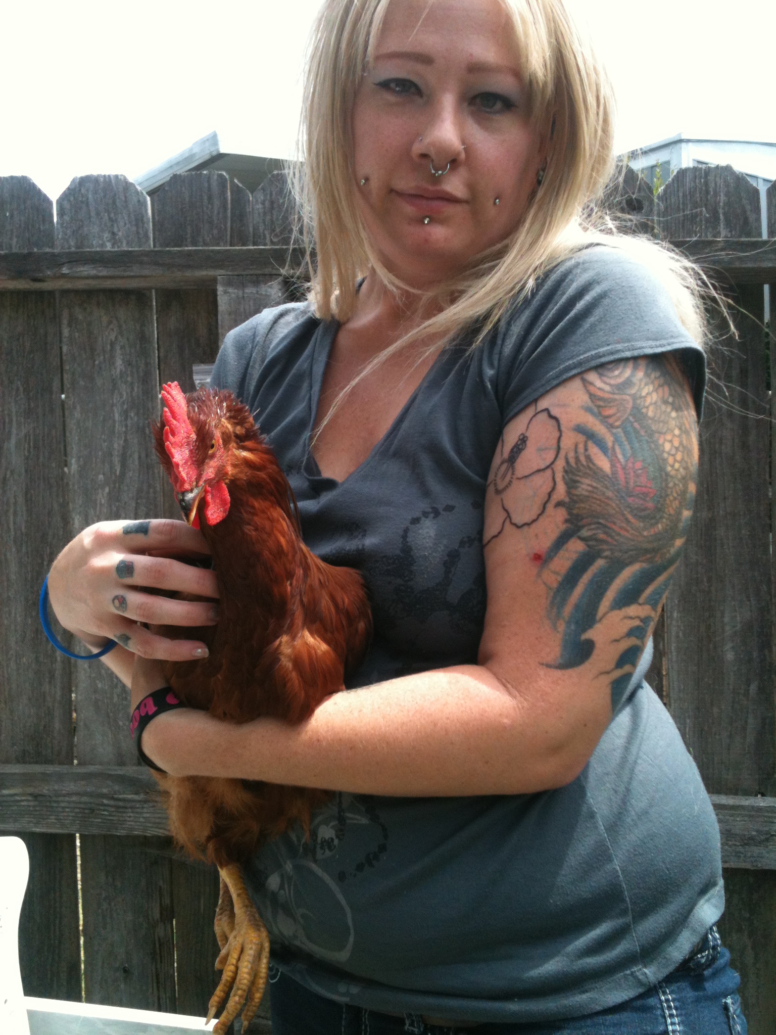 Dinner (He was a Rhode Island Red)