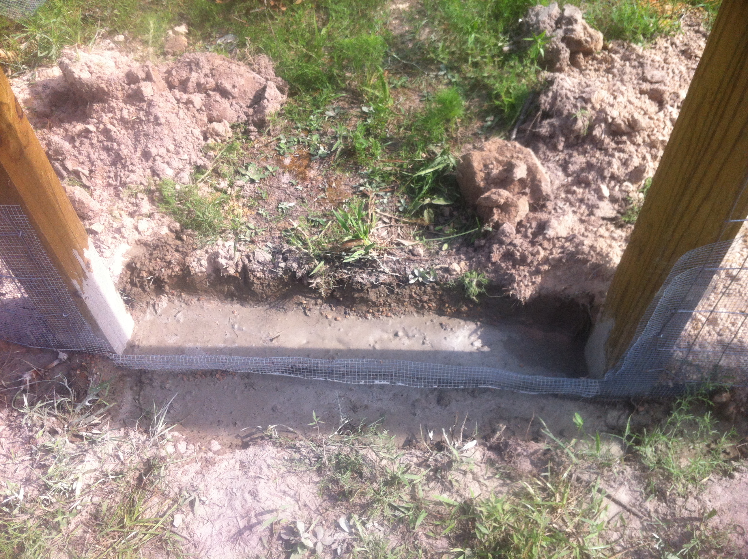 Dion applied concrete at the treshold of the entrance to the yard/run where I cut the hardware cloth short to facilitate the door.