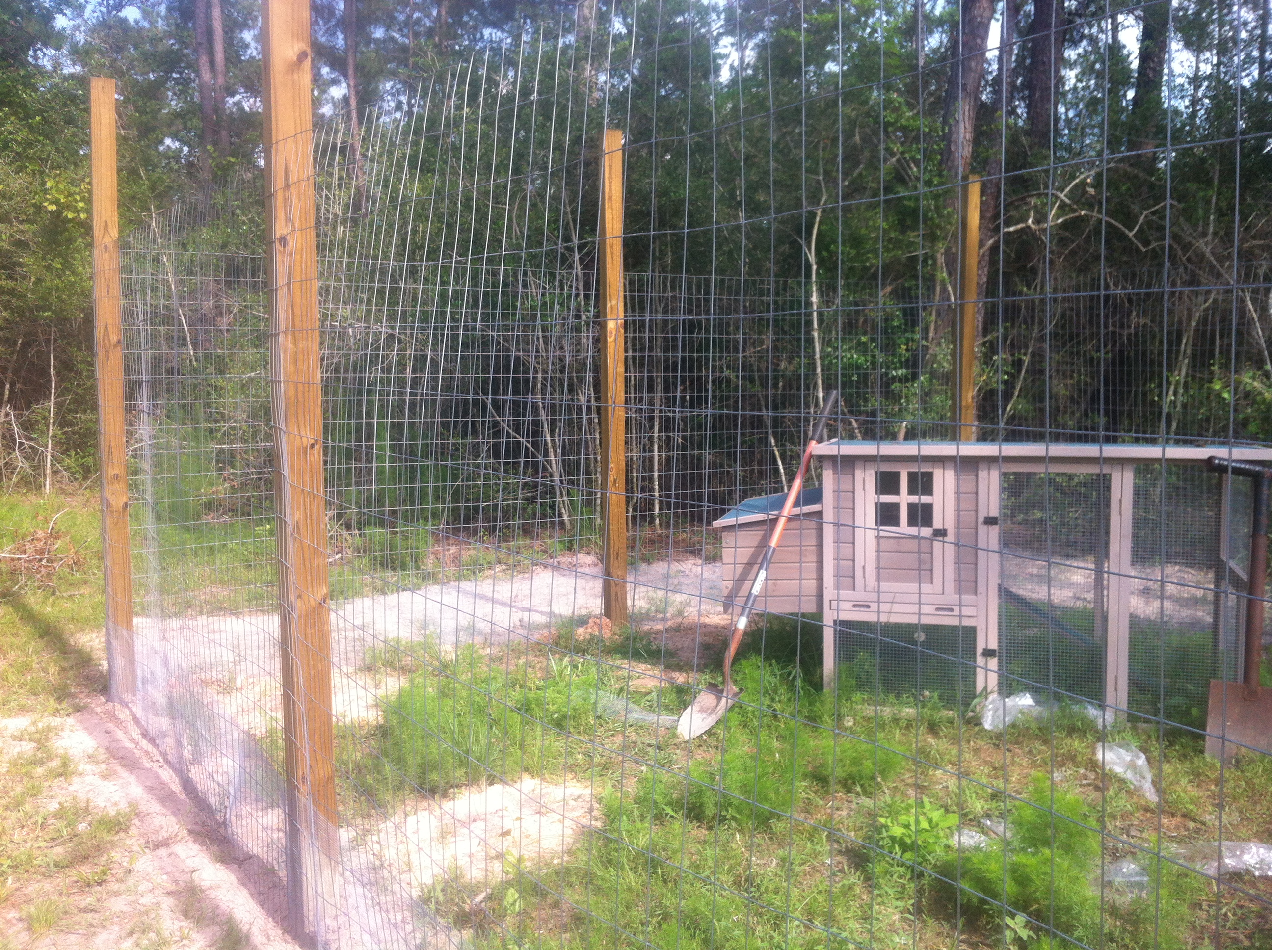 Dion pulled the welded wire while I hammered it to the posts.
