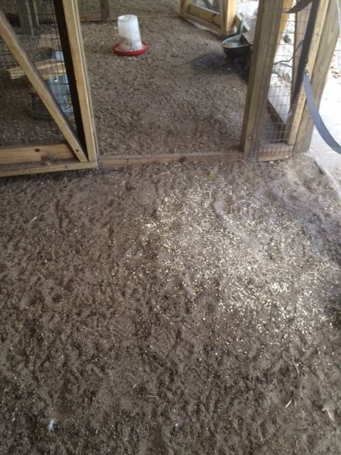 Dirt floors make it easy to rake out and clean