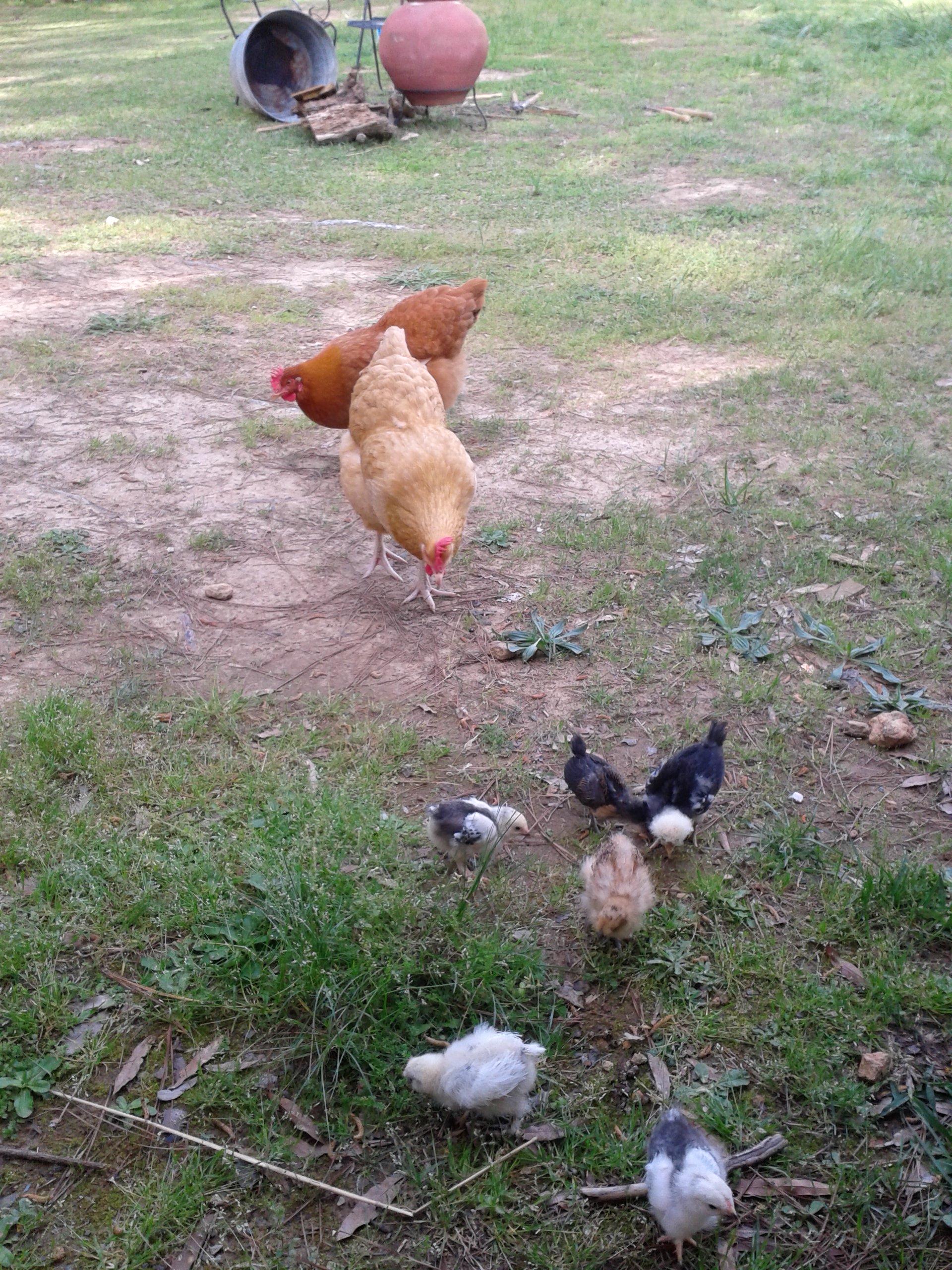 discovering new babies(: