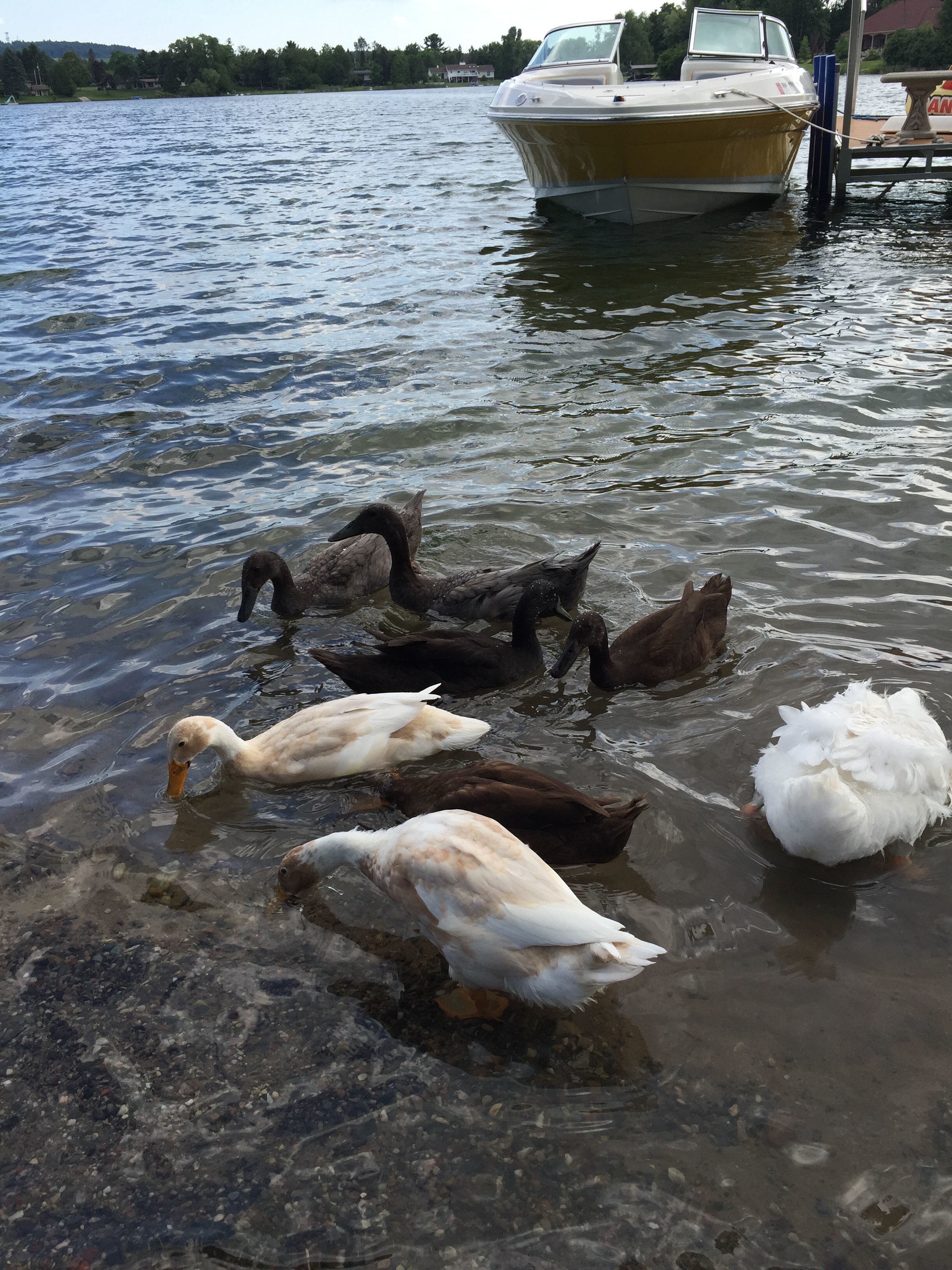 Discovering the lake