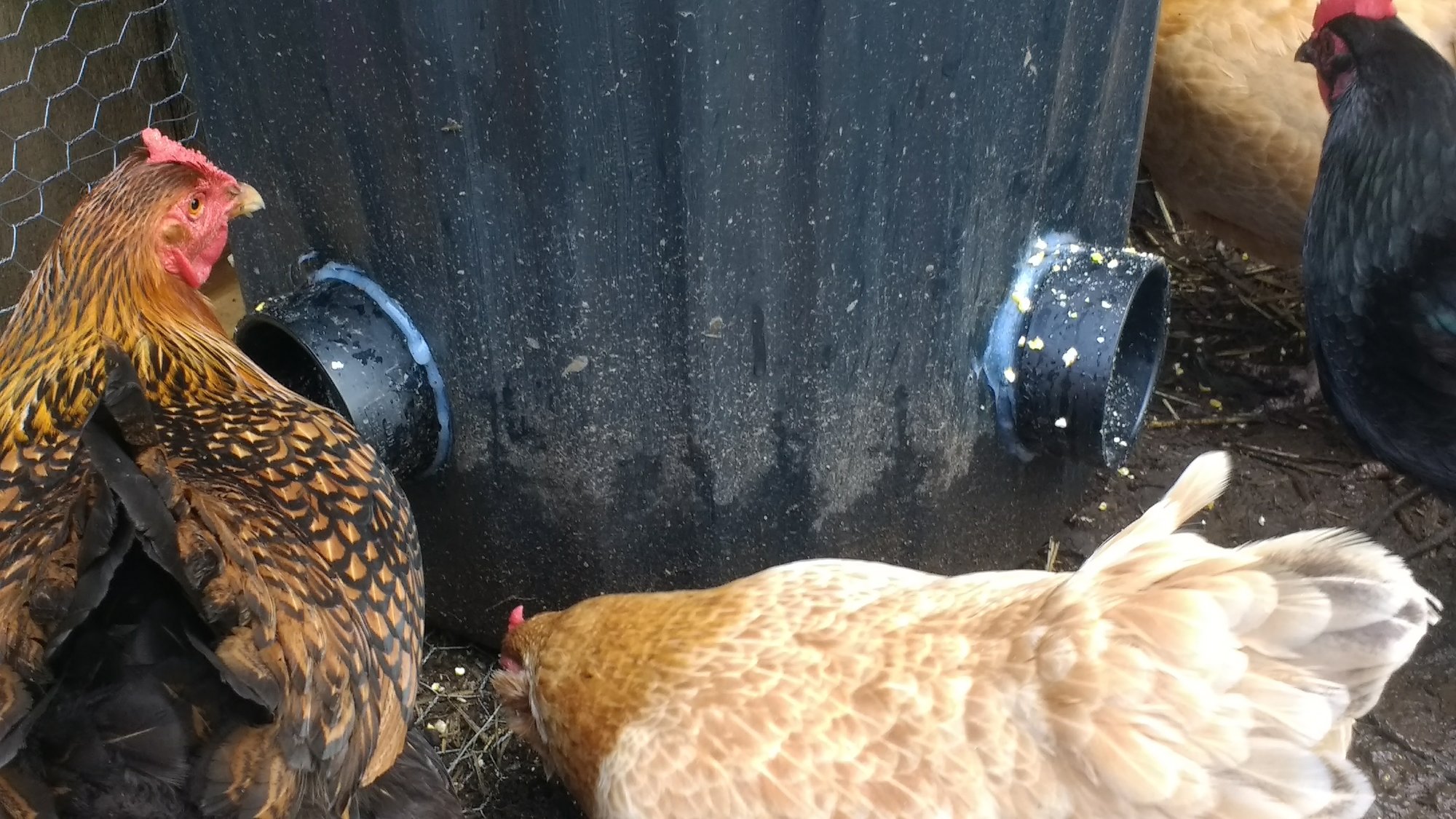 DIYFEEDER
