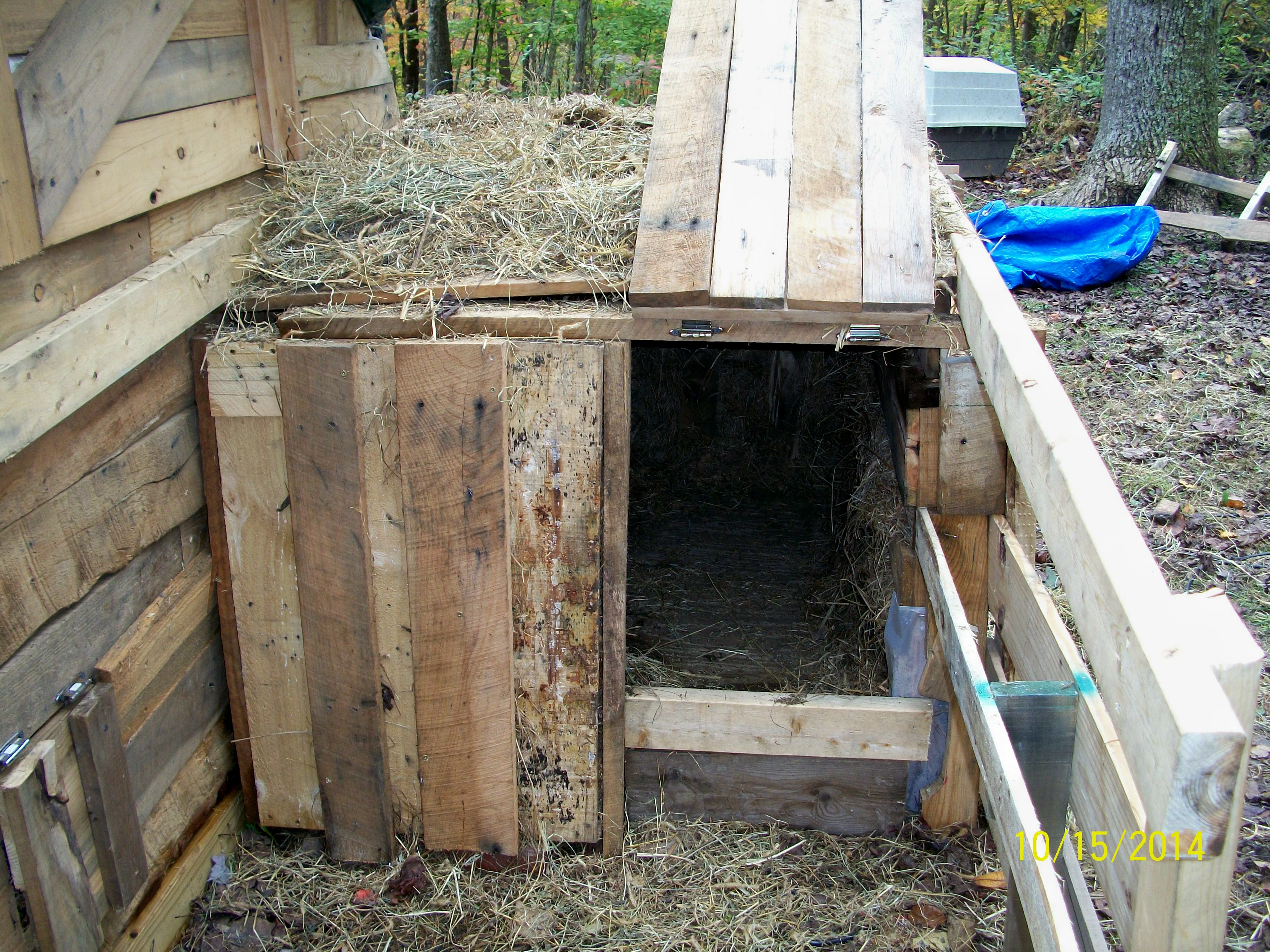 Dog house build...insulating with old hay.
