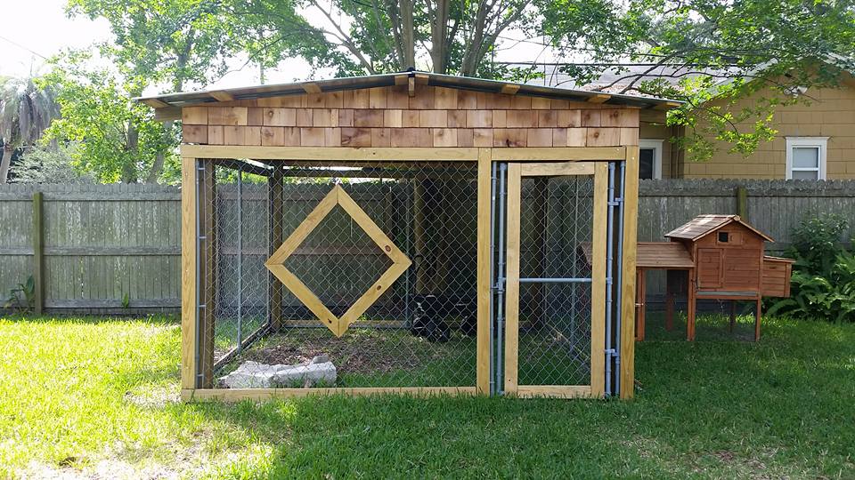 Dog kennel turn chicken run.