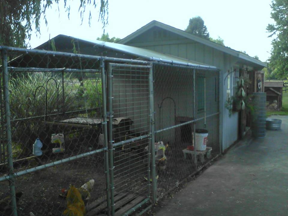 dog run added to the end of the shed