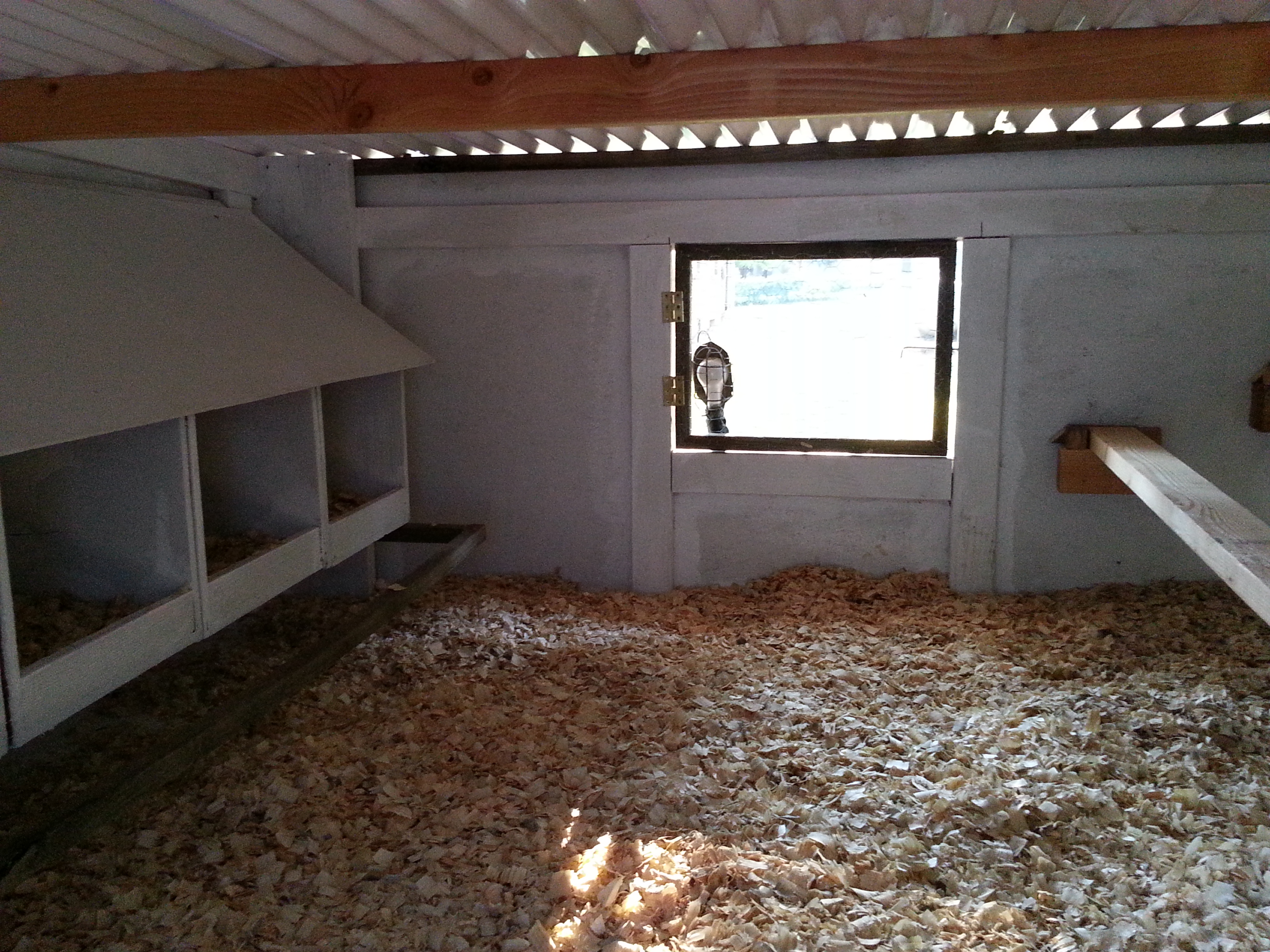 Doing the deep litter in coop pine shavings, little de and wood ash right now but will add some hay and dirt to hopefully create good compost.