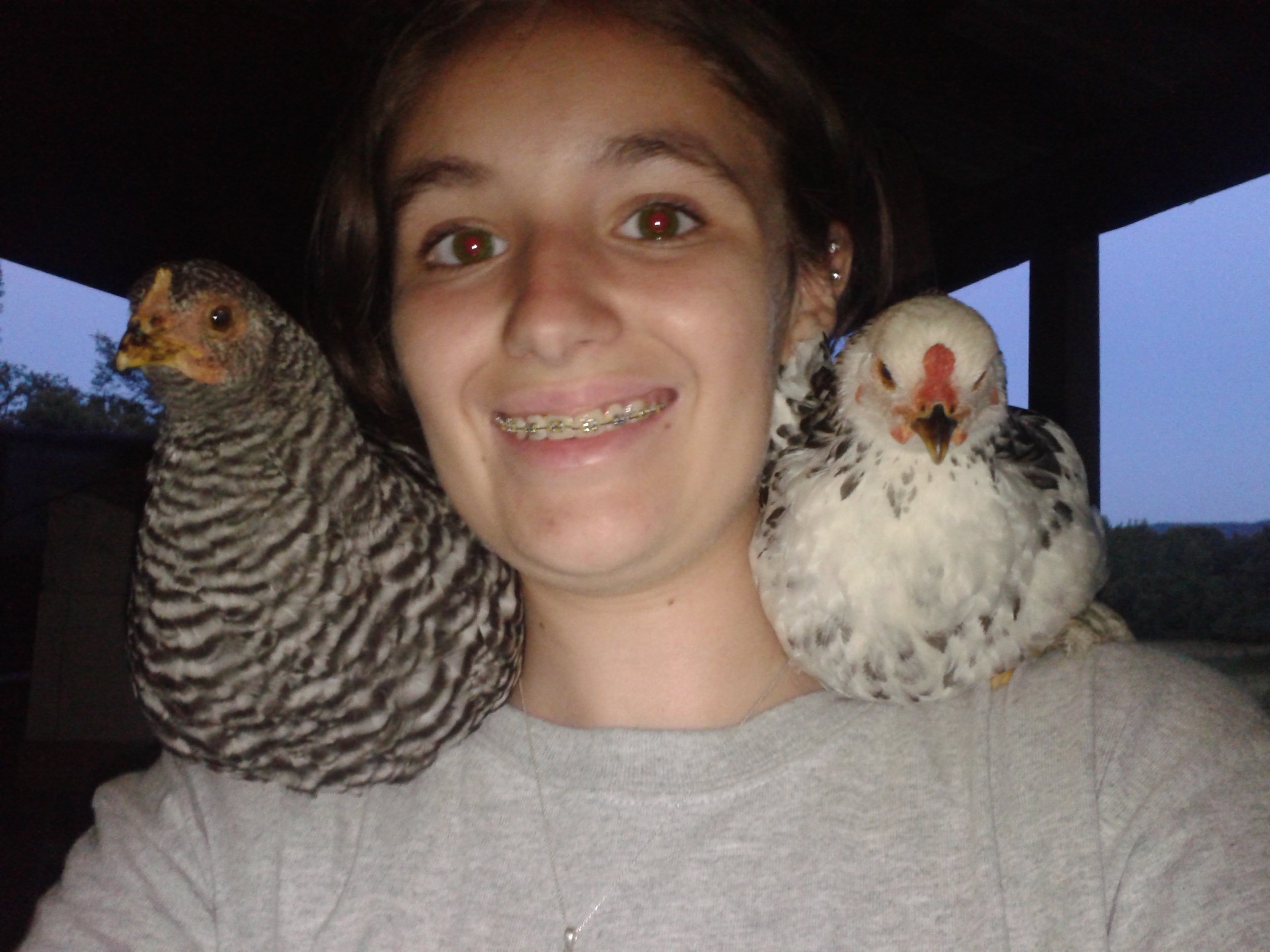 dominique(hen) and carl(: