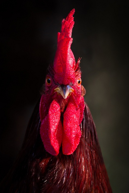 don`t mess with me=I have an "attitude".