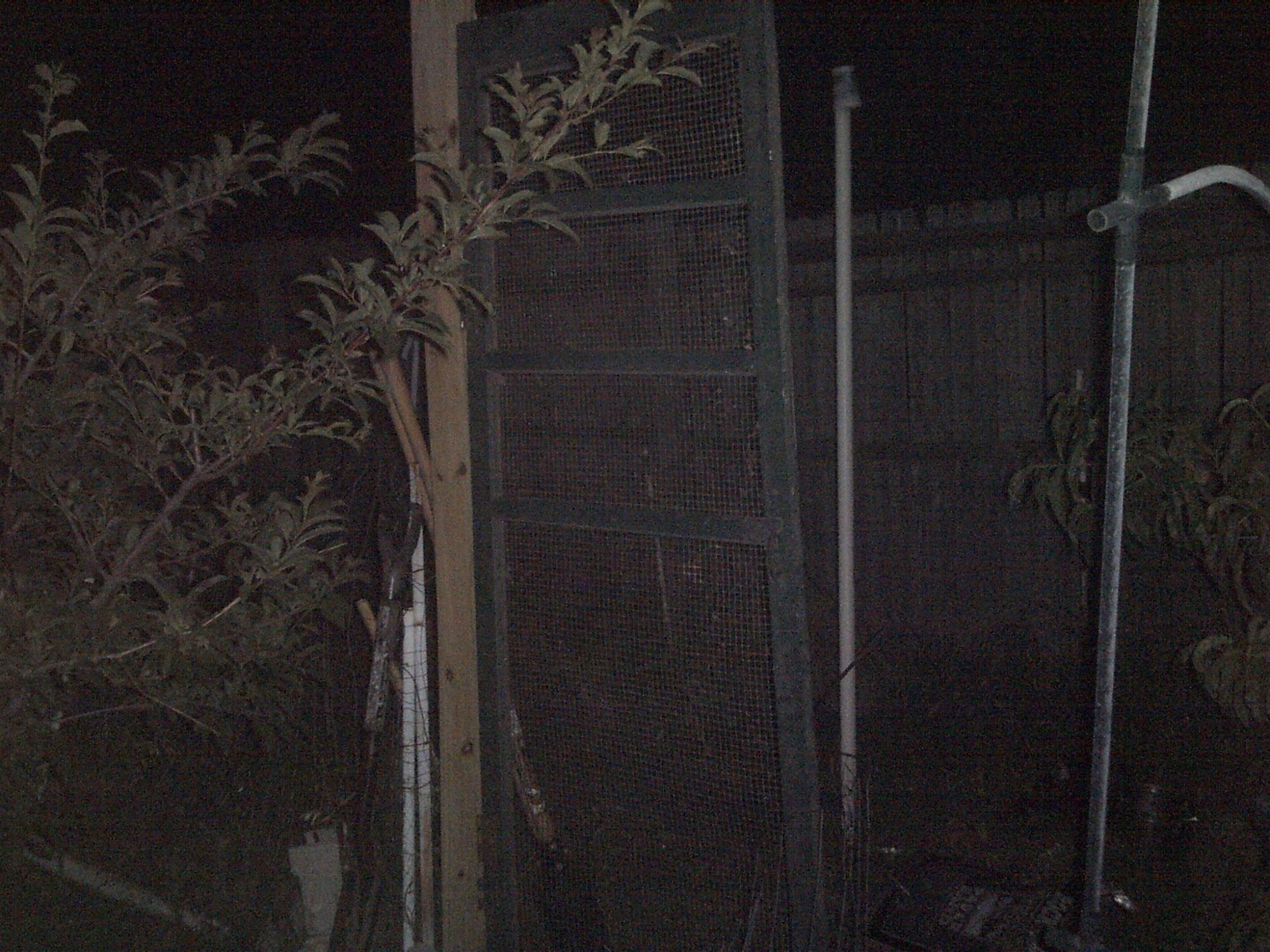 Door i put in for later use when i fish duck incloseure