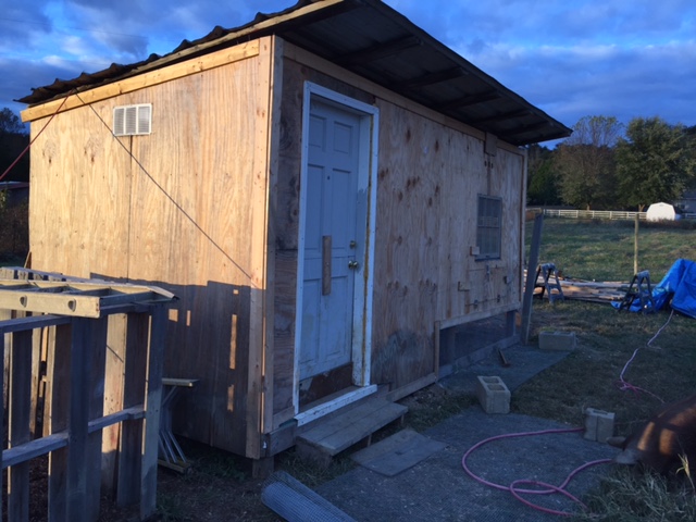 Door to coop you can see was cut in half, so that the bottom can be closed but the coop can still get the needed fresh air. Apron was still being added at this point.