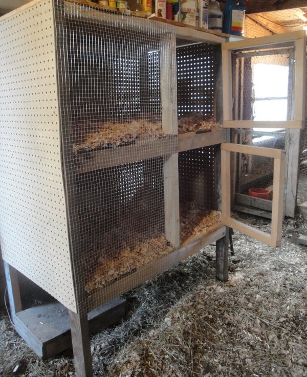 Double decker brooder hutch.