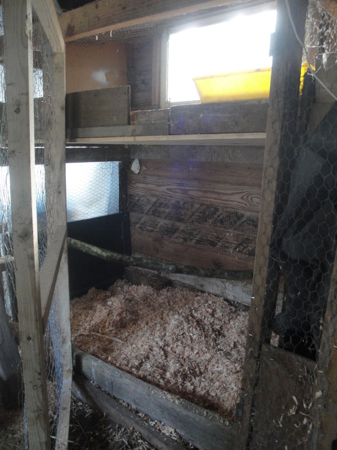 Double decker pens in the barn. Lower has a natural branch for a roost.