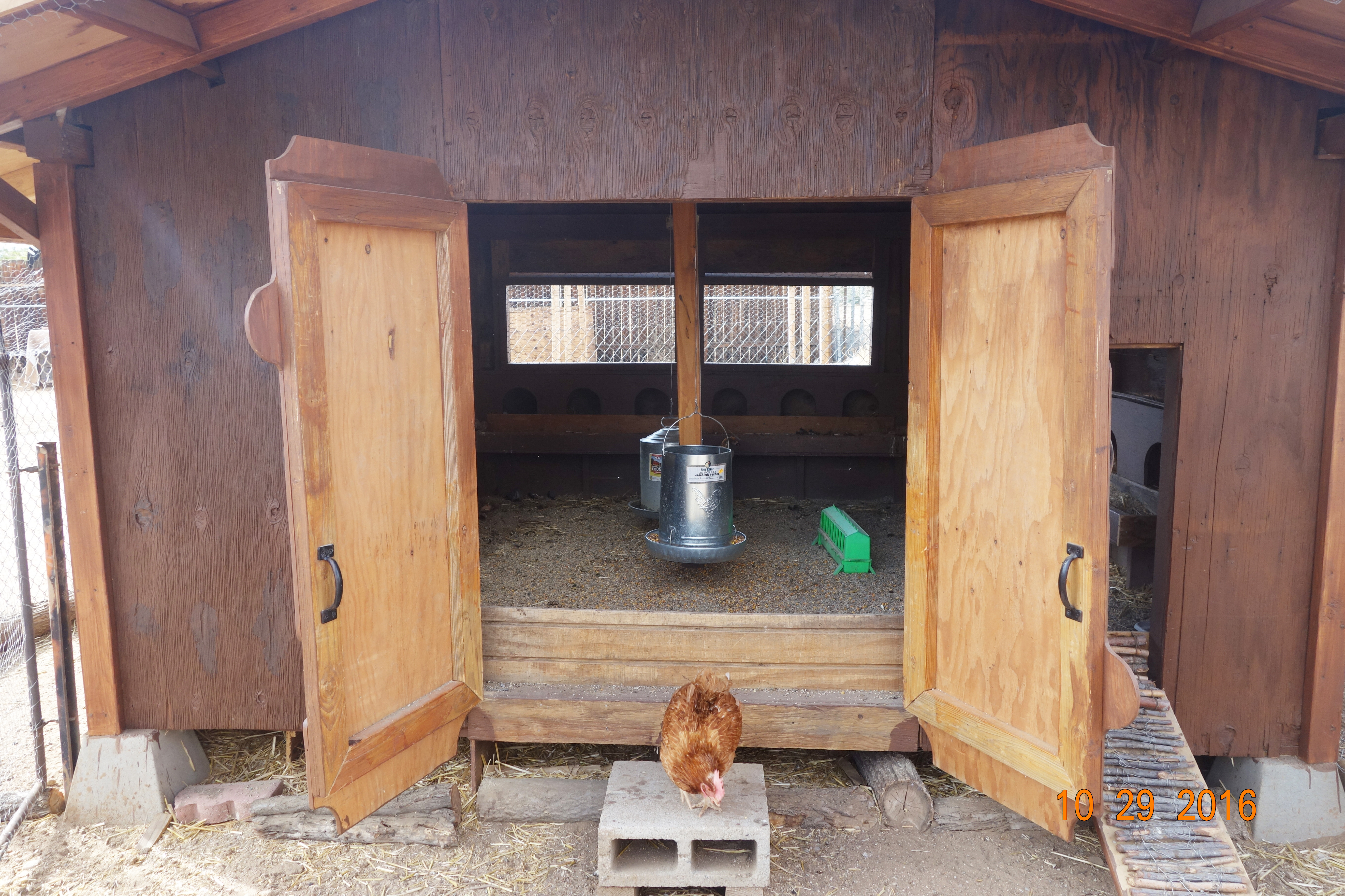 Double door at the front of the coop.