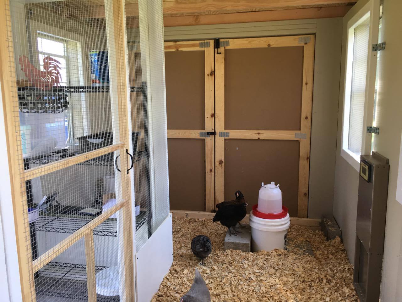 Double Door End of Coop