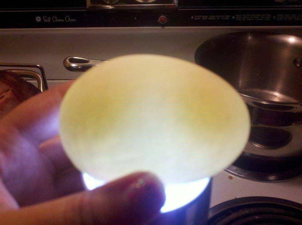 Double Duckie egg