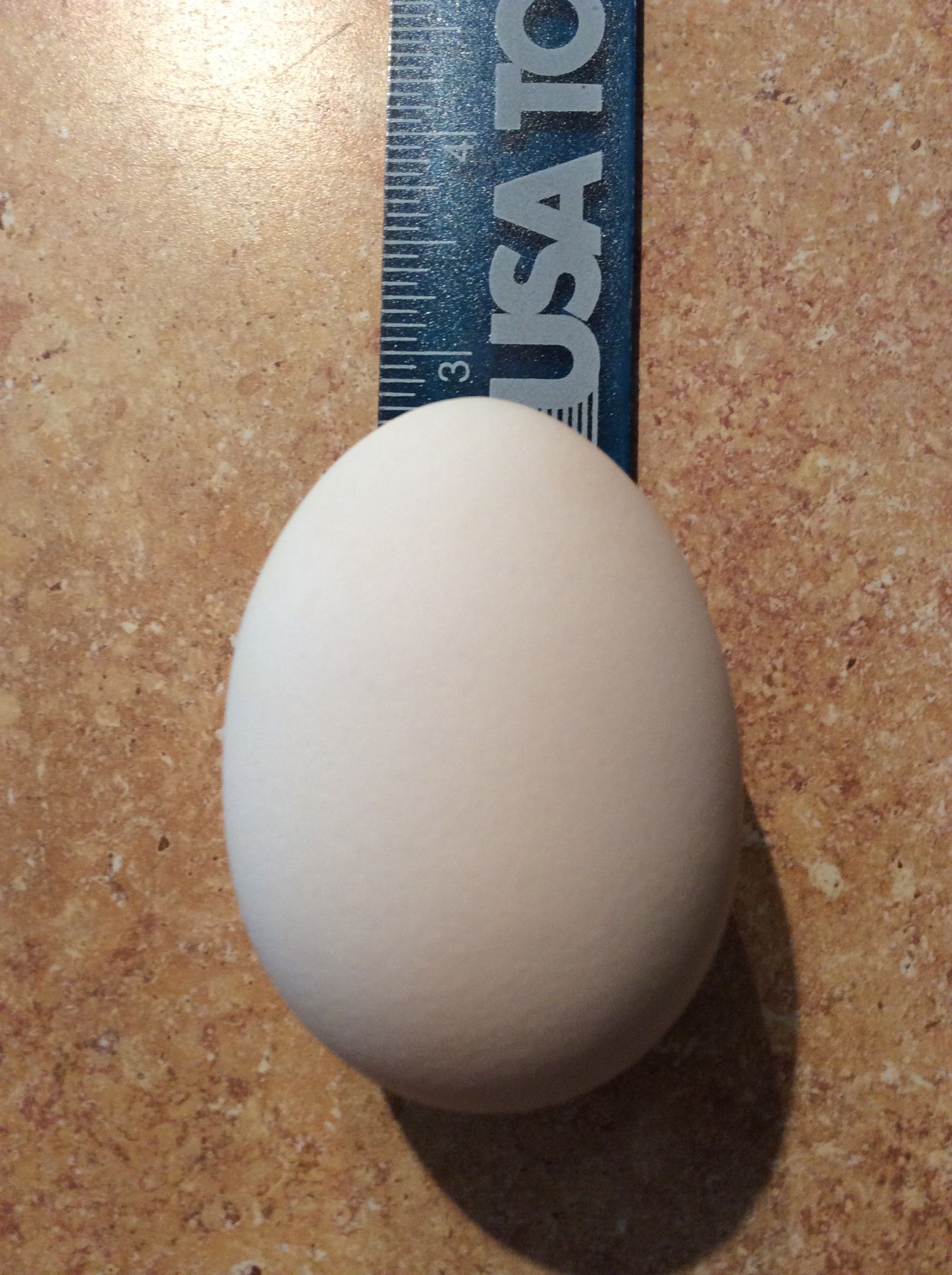 Double yolk?