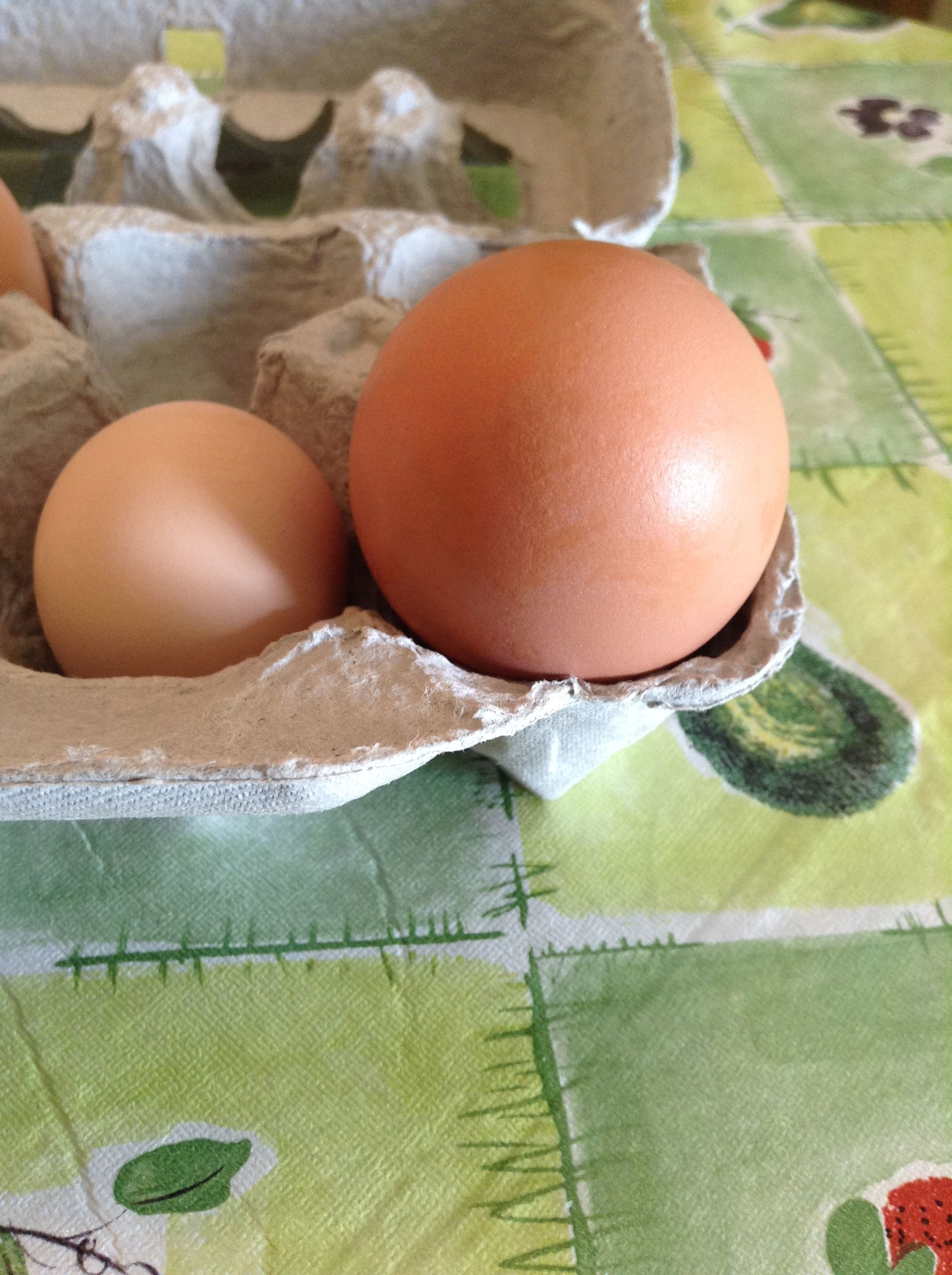 Double Yolker