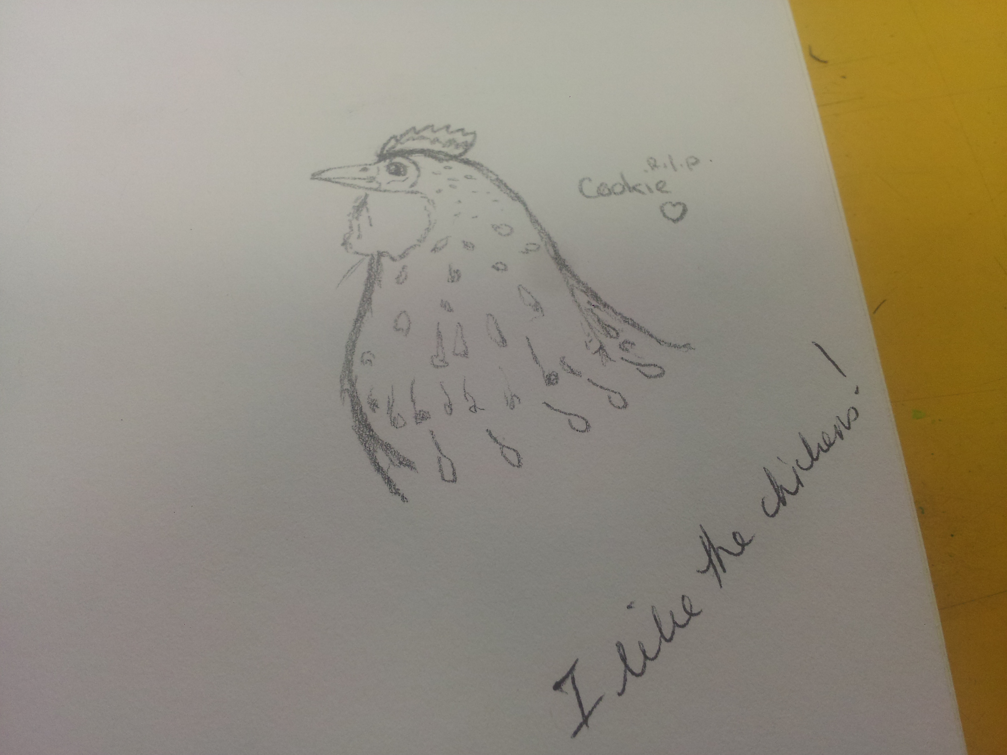 Drawing of Cookie in art class (and a note from my teacher)