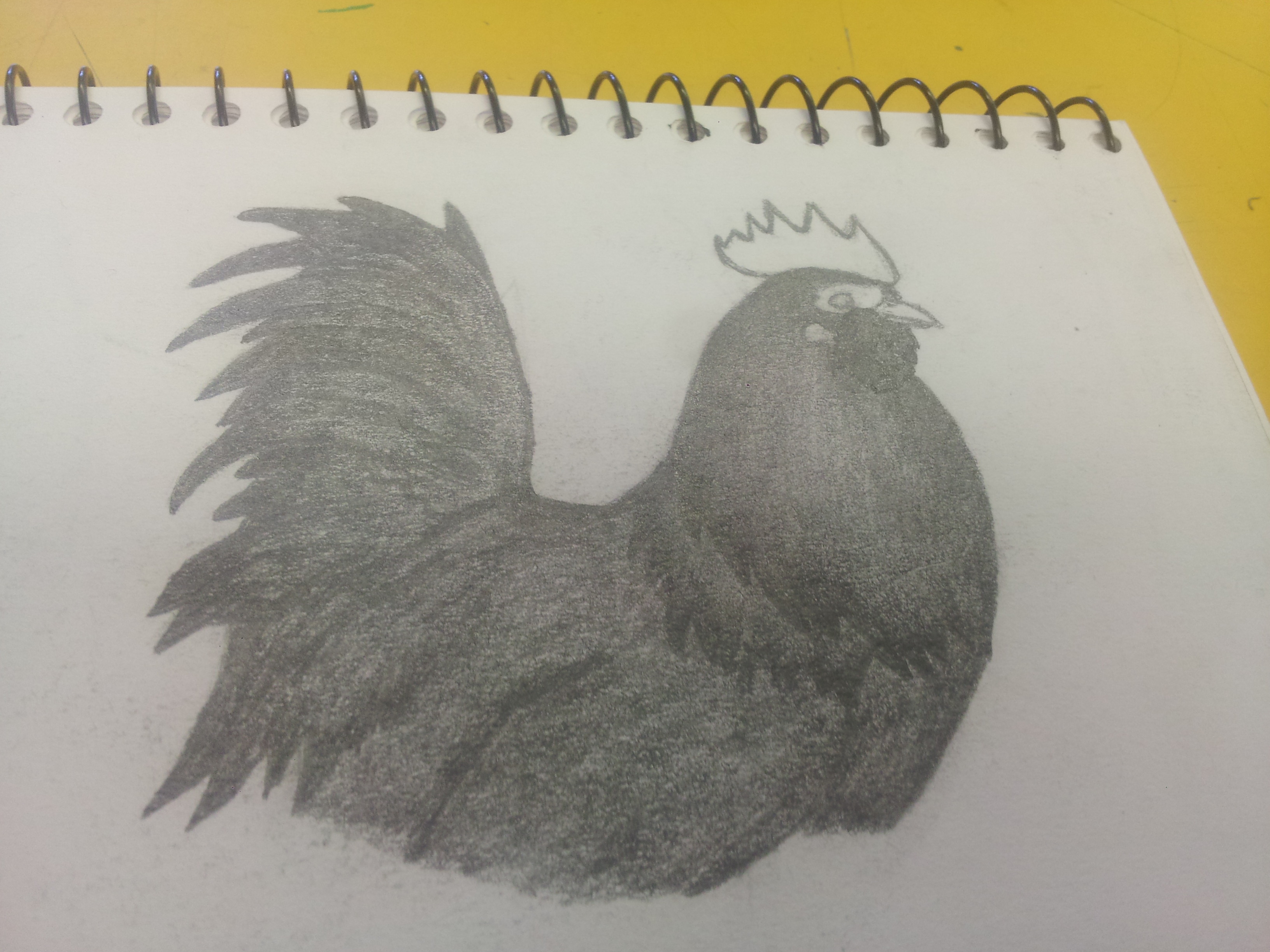 Drawing of 'Little Roo' in art class