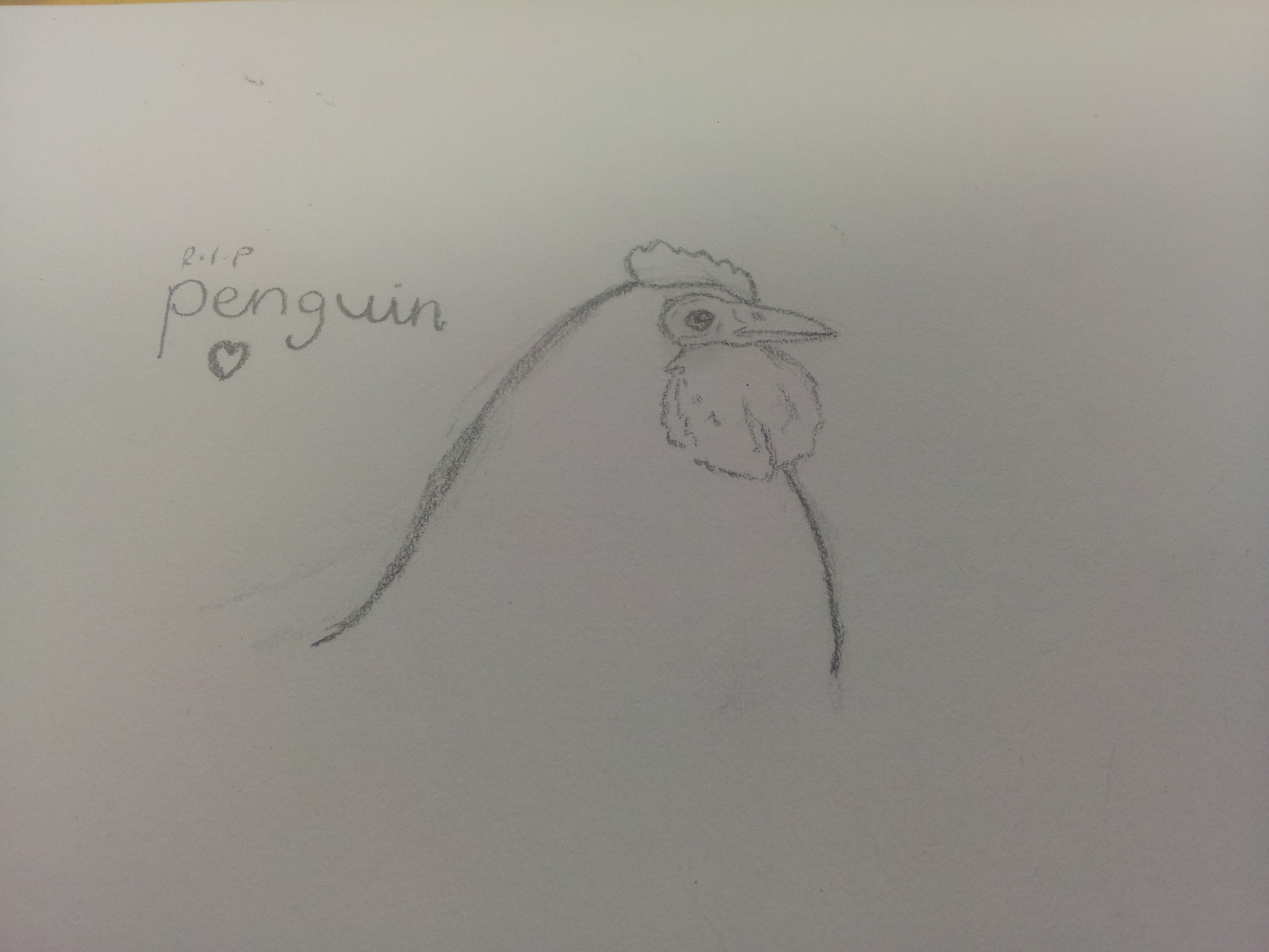 Drawing of Penguin in art class