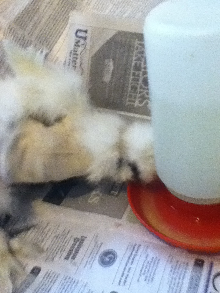 Drinking and eating on her own!