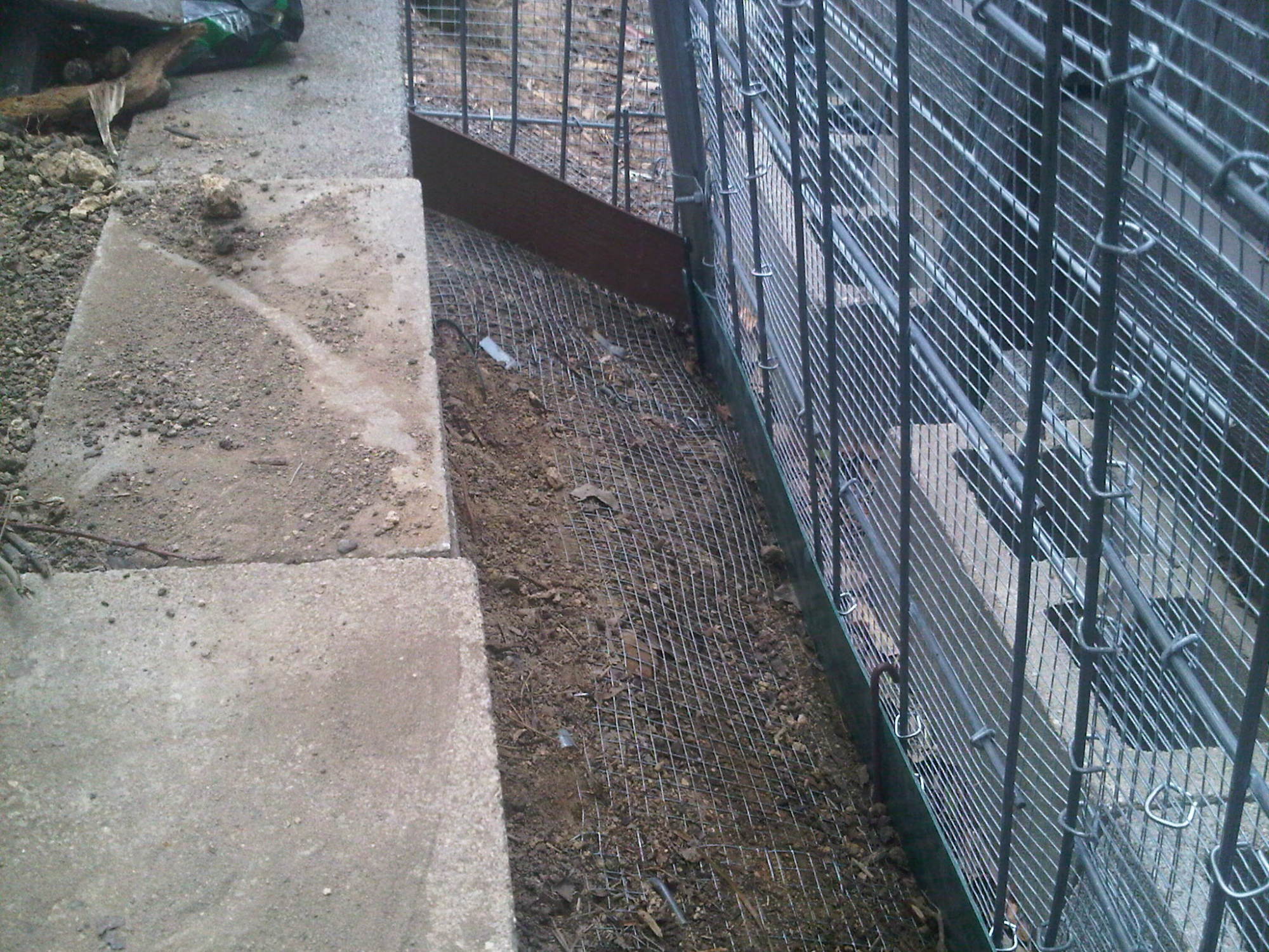 drop off at the back of the coop run. I'm worried it's too tight of a space. I think a chicken could get hurt/stuck down there.