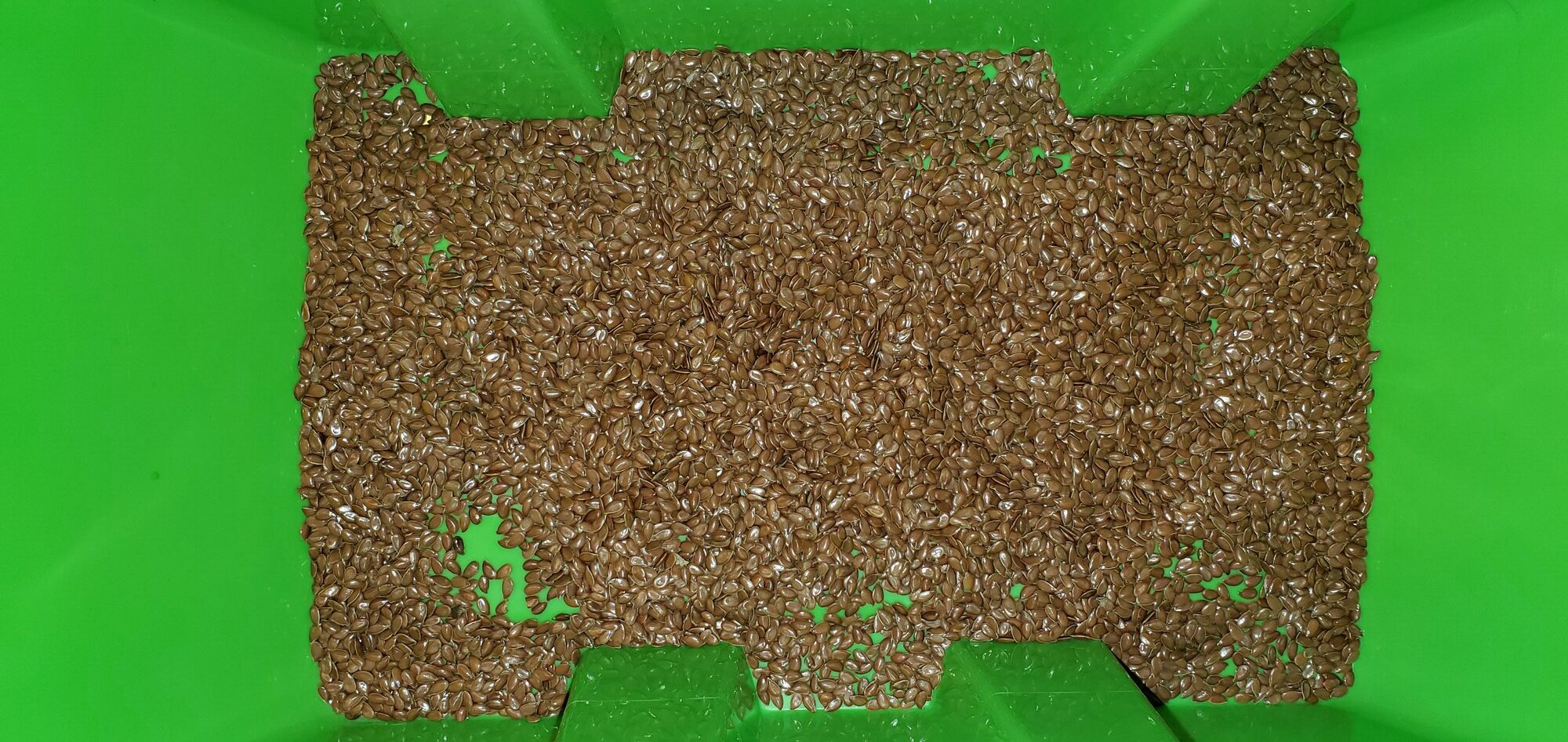 Dry flax seeds in the fodder bin