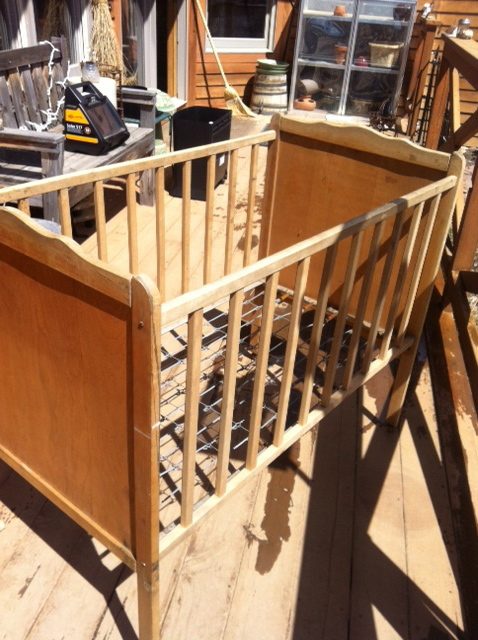 drying in the sunshine